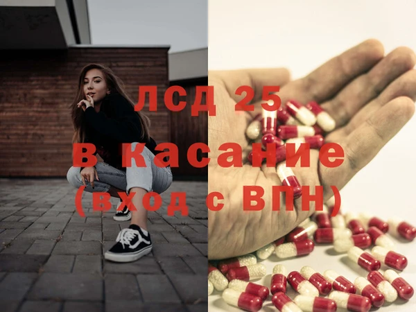 сатива Болохово