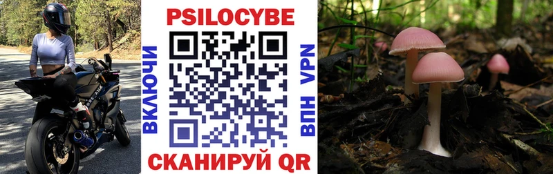 Галлюциногенные грибы Psilocybine cubensis  Чердынь 